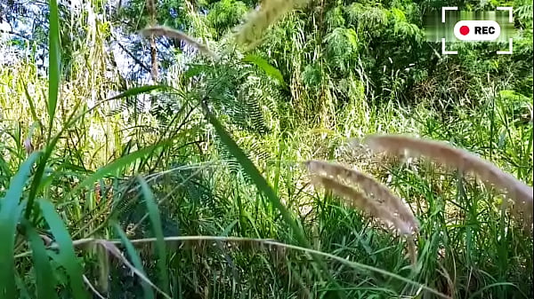 Trabalhadores trepando dentro do mato escondido dos patrões. – EXCLUSIVOS NO SHEER.COM